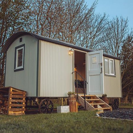 Shabby Shepherds Пенріт Екстер'єр фото
