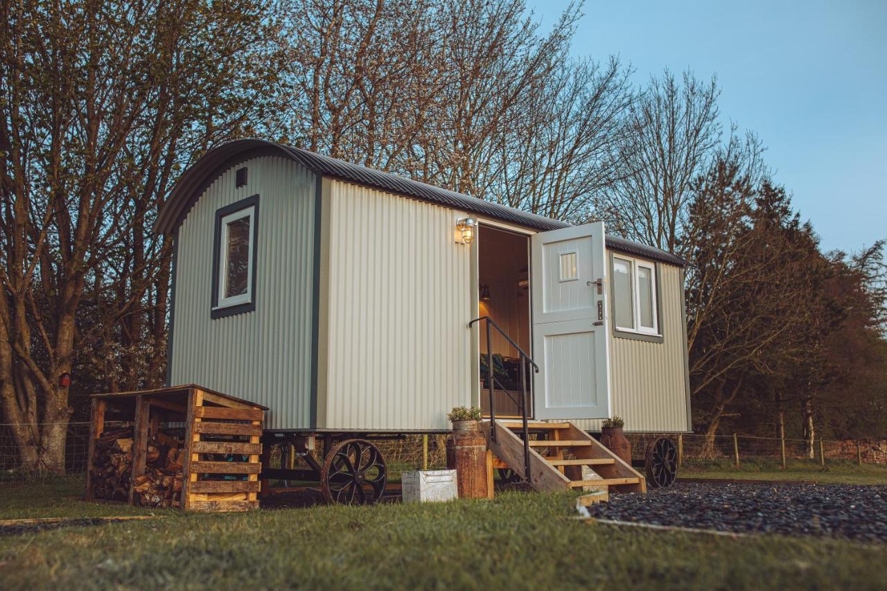 Shabby Shepherds Пенріт Екстер'єр фото