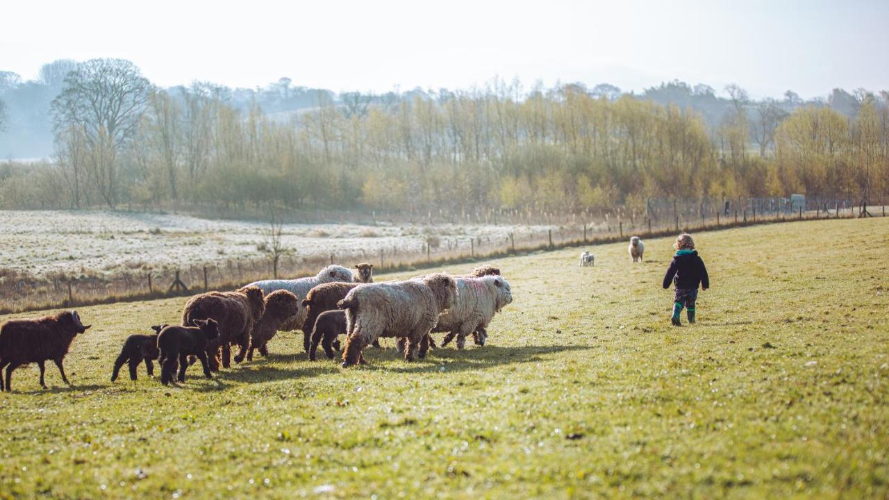 Shabby Shepherds Пенріт Екстер'єр фото